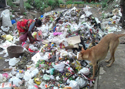 For Ourselves and Our Planet