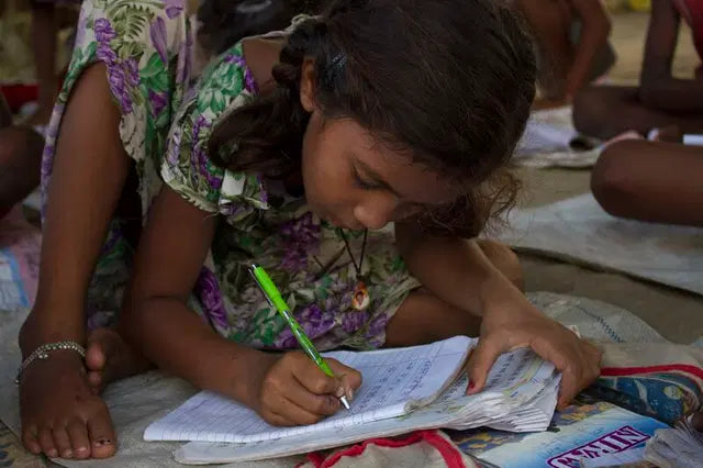 NGOs & Foundations
